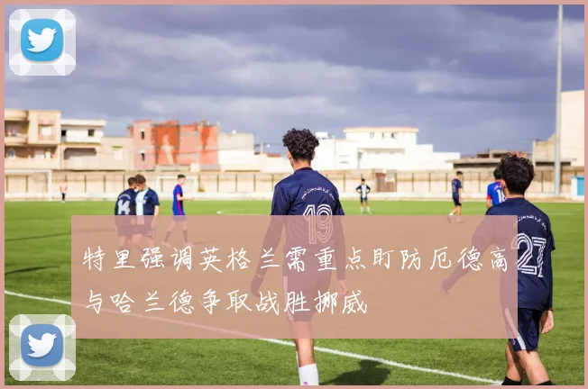 特里强调英格兰需重点盯防厄德高与哈兰德争取战胜挪威