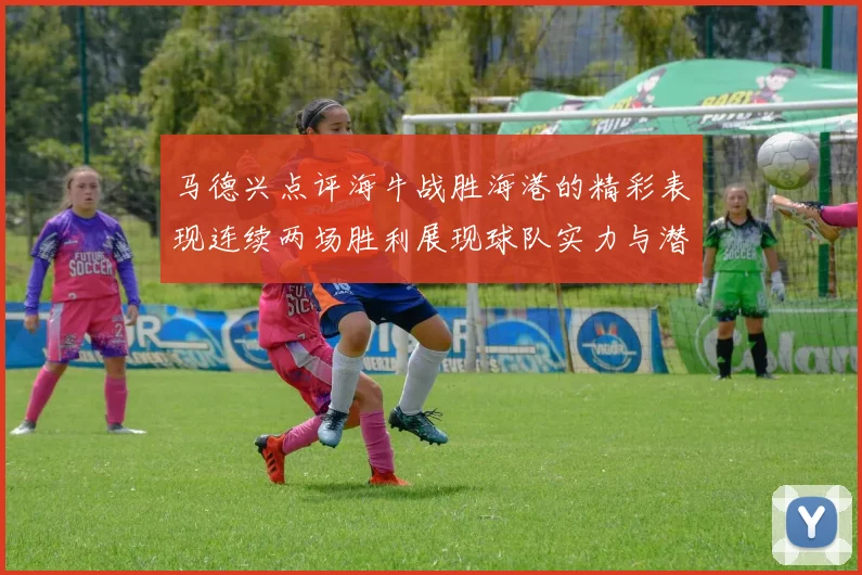 马德兴点评海牛战胜海港的精彩表现连续两场胜利展现球队实力与潜力